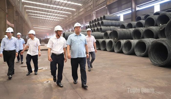 Chủ tịch UBND tỉnh Phan Huy Ngọc cùng lãnh đạo các sở, ngành thăm dây truyền sản xuất thép của Công ty TNHH Gang thép Tuyên Quang.