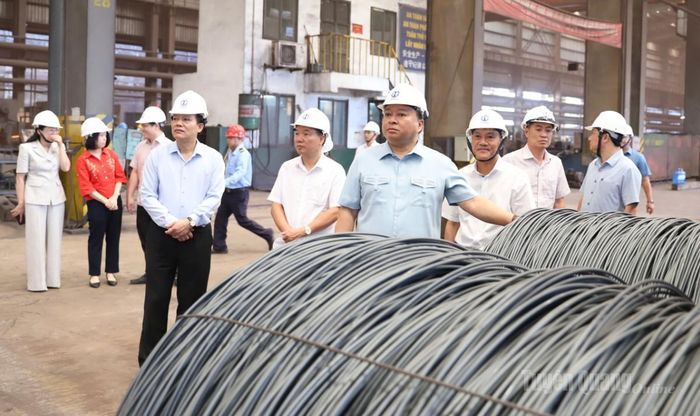 Chủ tịch UBND tỉnh Phan Huy Ngọc xem sản phẩm thép cuộn của Công ty  TNHH Gang thép Tuyên Quang.