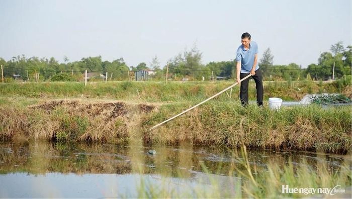 Nuôi trồng thủy sản tại Phú Vang.