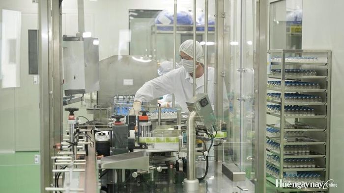 Sản xuất ở nhà máy sinh dược phẩm HERA.