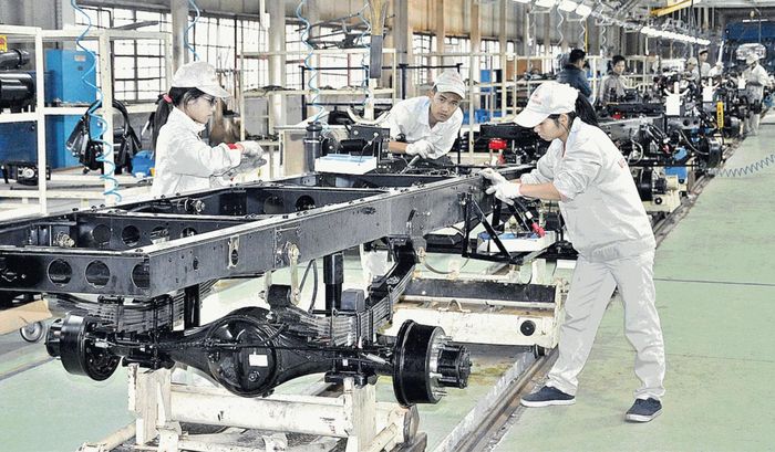 Sản xuất ổn định, tạo nguồn thu lớn.
