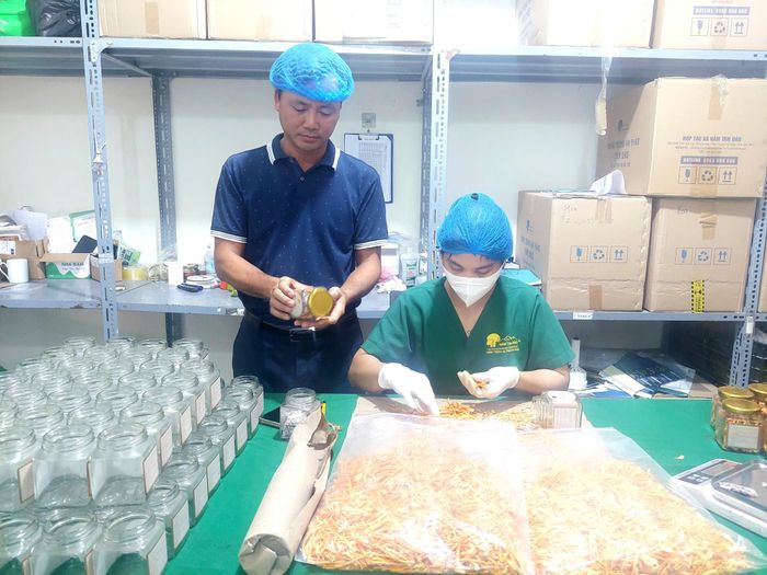 Hợp tác xã Nấm Tam Đảo, từ sản xuất nhỏ lẻ sang ứng dụng công nghệ, chế biến sâu và liên kết theo chuỗi, mô hình đang tạo thêm giá trị cho nông sản, đồng thời mở rộng sinh kế cho người dân tham gia sản xuất.