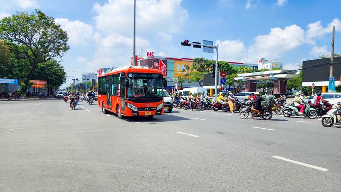 Đi khắp phố phường Cần Thơ với xe buýt.