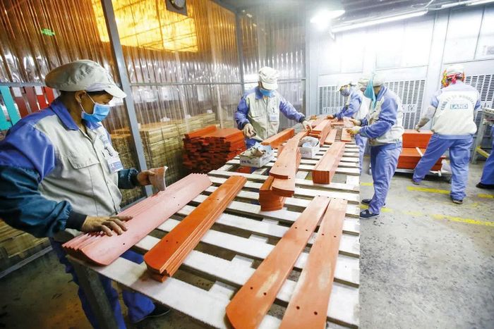 Nhà máy sản xuất gỗ của Công ty cổ phần Đầu tư Woodsland tại Mê Linh (Hà Nội). Ảnh: Đức Thanh