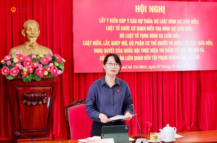 Phó trưởng đoàn chuyên trách Đoàn ĐBQH thành phố Trần Thị Diệu Thuý phát biểu. Ảnh: Hoa Lê