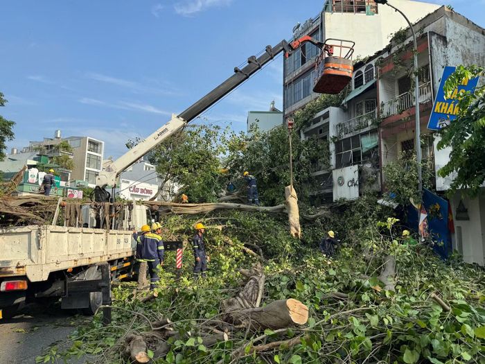 Nhân viên Công ty Cây xanh tiến hành khắc phục sự cố.
