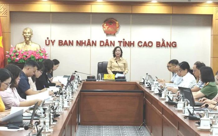 Phó Chủ tịch UBND tỉnh Hà Nhật Lệ, Trưởng Ban Vì sự tiến bộ của phụ nữ tỉnh chủ trì cuộc họp.