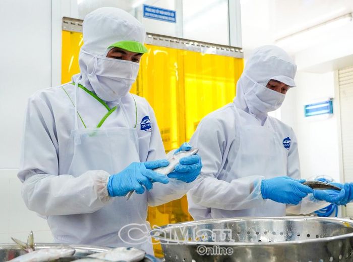 Hoạt động sản xuất, kinh doanh của doanh nghiệp và biến động thị trường là những yếu tố được ngành Thuế theo dõi trong điều hành thu ngân sách những tháng cuối năm.