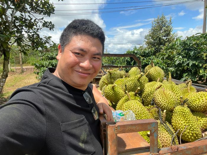                                                          Sầu riêng là một trong những ngành hàng nông sản chủ lực của Đắk Lắk                                                                   Ảnh: Trúc Lam