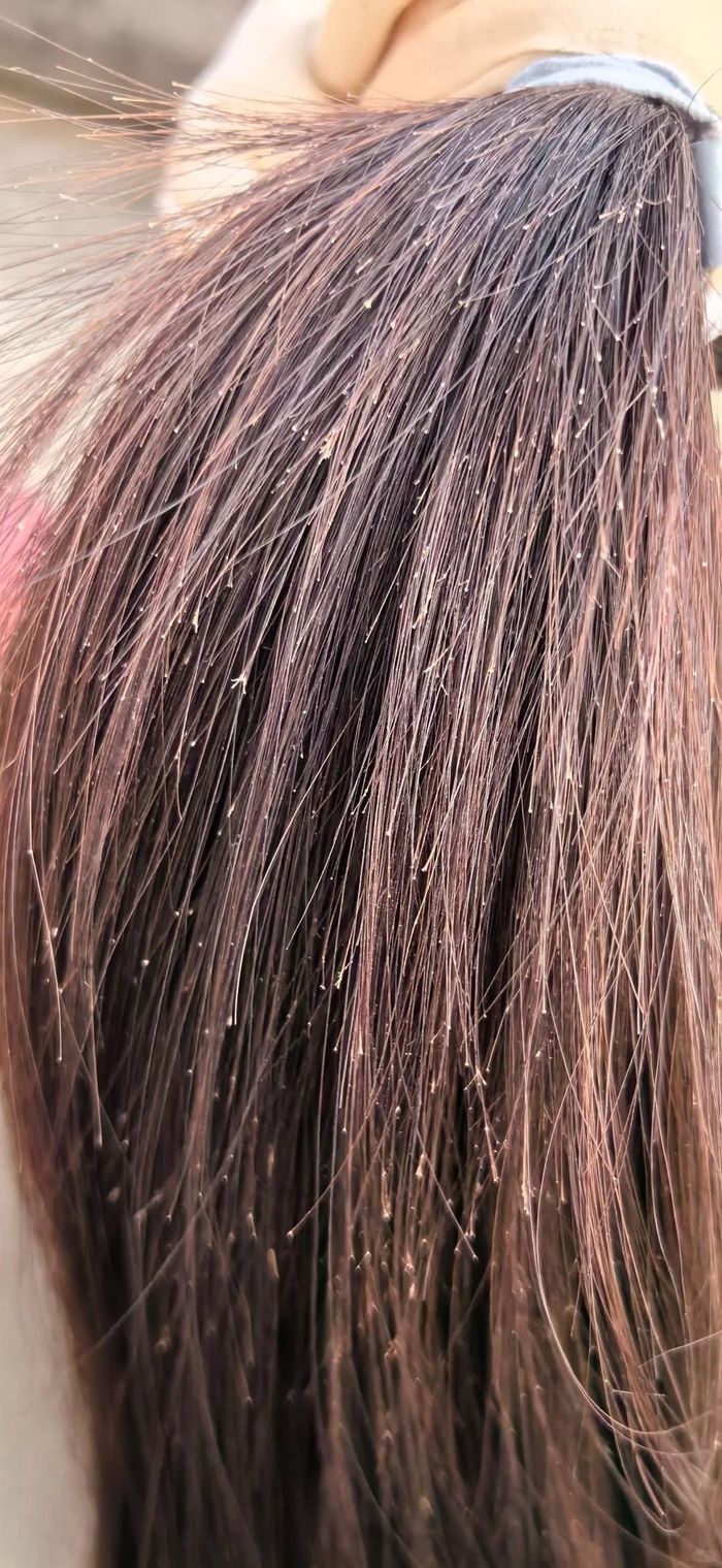 Tỉa tóc thường xuyên để tránh bị chẻ ngọn.