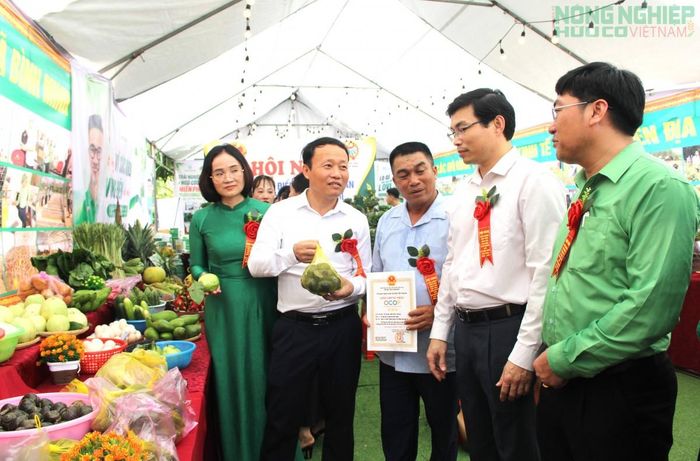 Nhiều nông dân giỏi đã trở thành những chủ thể OCOP, chủ doanh nghiệp, giám đốc hợp tác xã trên địa bàn tỉnh Nghệ An.