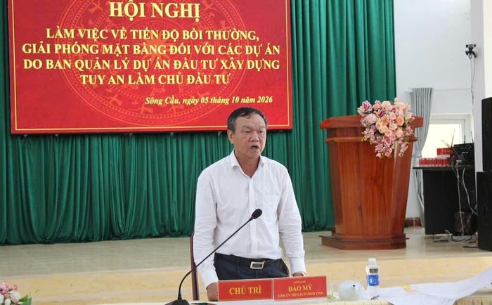  Phó Chủ tịch UBND tỉnh Đào Mỹ phát biểu. 