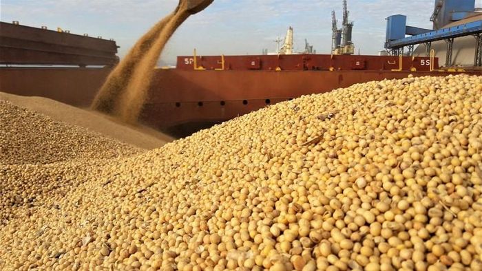 Đậu tương Hoa Kỳ vẫn chịu tổng mức thuế 23% khi nhập khẩu vào Trung Quốc, gồm thuế cơ bản 13% và thuế bổ sung 10%