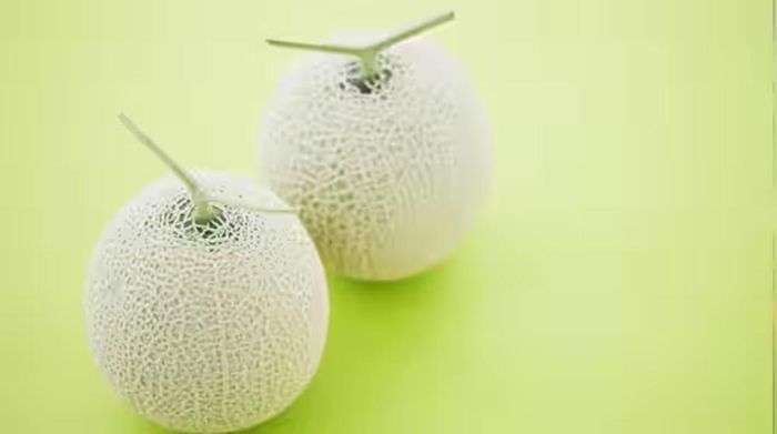 Dưa lưới Yubari chỉ được trồng ở vùng Yubari, Hokkaido, Nhật Bản. (Ảnh: India Times)