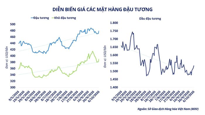 Diễn biến giá các mặt hàng đậu tương. Nguồn: MXV