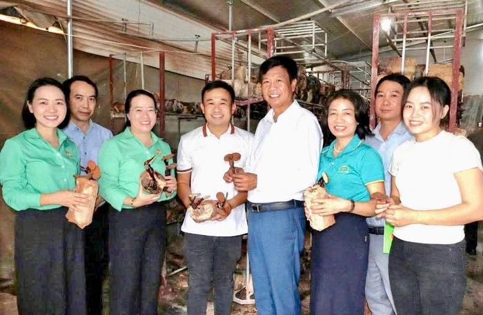 Hội Nông dân thành phố Hà Nội thăm mô hình nấm lim xanh của anh Lê Văn Hợp. Ảnh: NVCC