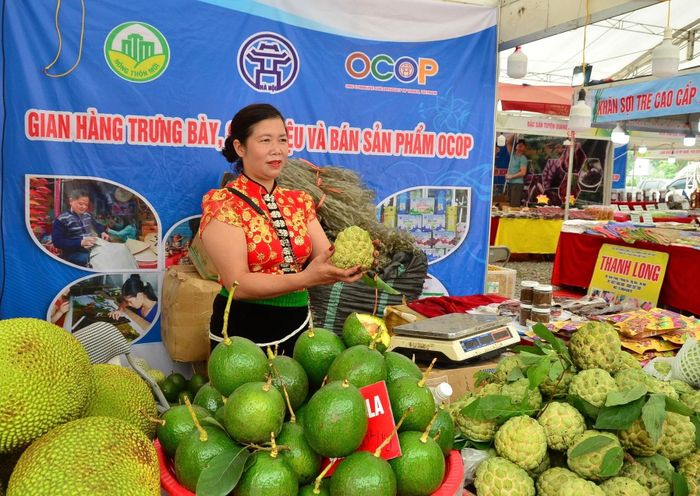  Biến câu chuyện sản phẩm thành giá trị thương hiệu là việc cần làm của mỗi chủ thể, đơn vị, địa phương có sản phẩm OCOP. Ảnh: Trần Hiền 