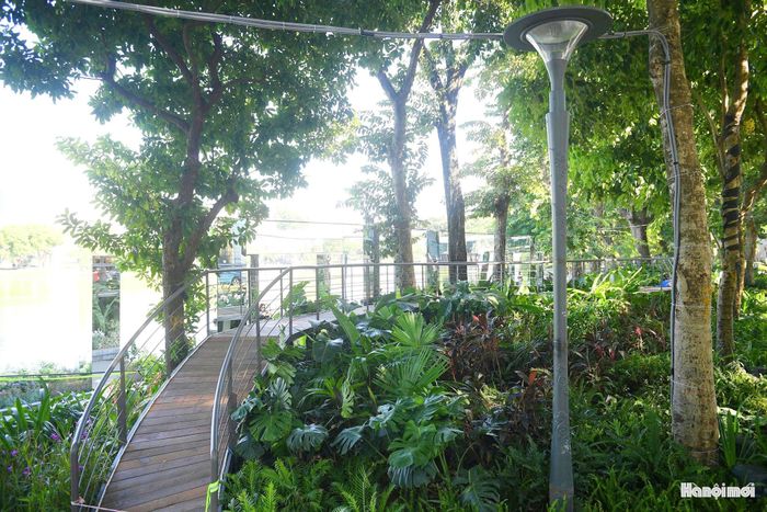 Bên cạnh hệ thống khung gương, tuyến cầu đi bộ có thiết kế uốn lượn như một dải lụa đang dần hoàn thiện giữa những hàng cây ven hồ.