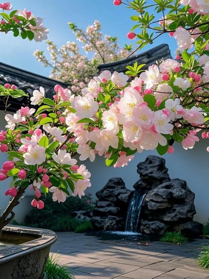 Sức hút của phụ nữ sinh tháng 5 Âm lịch càng lâu càng bền, không chỉ bởi nhan sắc mà còn bởi năng lực và sự khéo léo. Ảnh minh họa