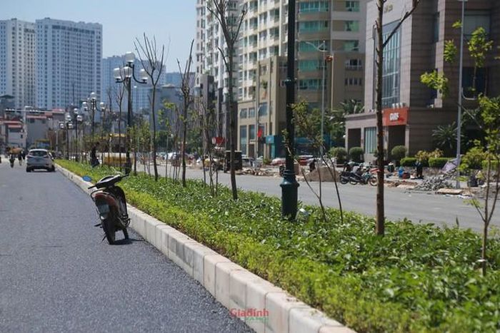 Dự án đường Vành đai 2.5 đoạn Cầu Giấy - khu đô thị mới Dịch Vọng có chiều dài khoảng 420m, tổng diện tích đất thu hồi hơn 21.400m² liên quan đến 329 hộ dân và 9 tổ chức. Dù phê duyệt từ tháng 10/2017 nhưng đến tháng 5/2026 mới hoàn thành giải phóng mặt bằng. Đến nay, song song với hoàn thiện hạ tầng, mảng xanh dải phân cách cũng được các công nhân tích cực trồng cây và hoa.