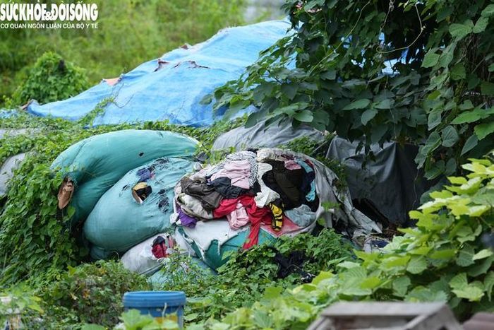 Phần lớn số quần áo được đựng trong từng bao tải, tập kết trong khu đất, một số vị trí được phủ bạt. Sau thời gian dài phơi mưa nắng, quần áo ẩm mốc, bốc mùi.