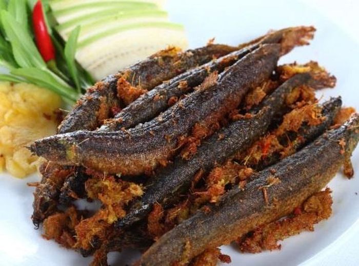  Cá chạch cần được nấu chín kỹ trước khi ăn để hạn chế nguy cơ nhiễm ký sinh trùng, đồng thời chú ý khẩu phần với người có gout hoặc rối loạn mỡ máu.