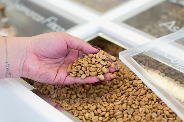 Hạt cà phê tại cửa hàng %Arabica cơ sở tòa số 125 Hai Bà Trưng (phường Sài Gòn, TP.HCM). Ảnh: Linh Huỳnh.