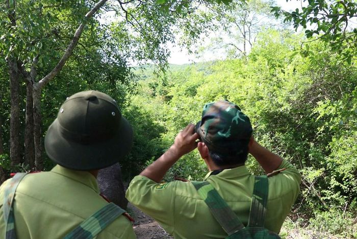Lực lượng kiểm lâm dùng ống nhòm để quan sát các khu rừng từ xa