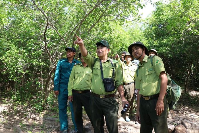 Lực lượng chức năng đi tuần tra Vườn quốc gia Núi Chúa - Phước Bình