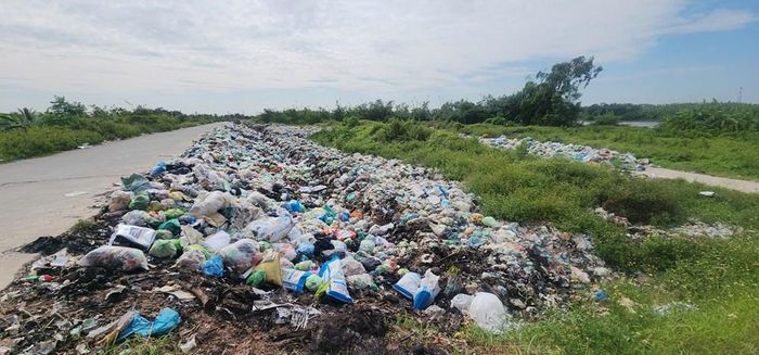 Rác thải nằm ngổn ngang cạnh đê sông Thái Bình