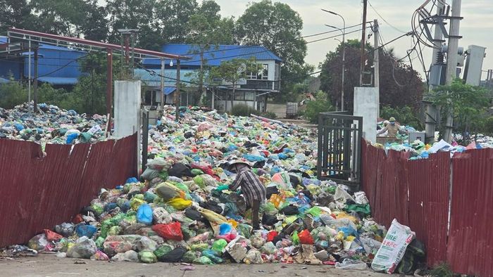 Rác tràn cả ngoài sát mép đê