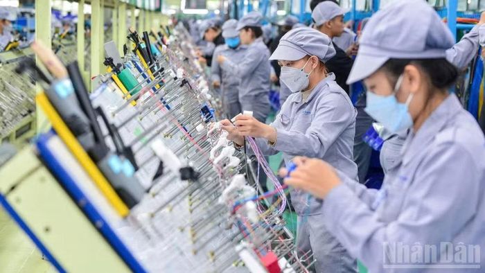 Doanh nghiệp Việt Nam đang từng bước chuyển đổi theo hướng xanh hơn, số hóa sâu hơn. (Ảnh THÀNH ĐẠT)