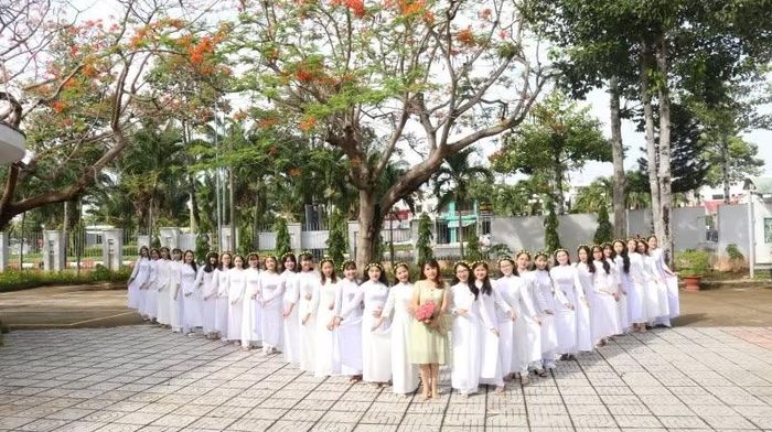 Quang cảnh Trường cao đẳng Sư phạm Bà Rịa-Vũng Tàu trước khi sáp nhập. (Ảnh: CTV)