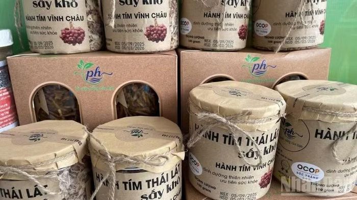 Hợp tác xã hành tím Vĩnh Châu mong muốn tiếp cận vốn ưu đãi và tái chứng nhận OCOP 3 sao, tiến tới nâng hạng 4 sao. (Ảnh: VĂN ÚT)