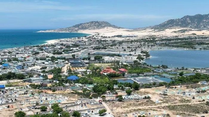 Vùng đất tại xã Phước Dinh được quy hoạch triển khai Dự án Nhà máy Điện hạt nhân 1. (Ảnh: NGUYỄN TRUNG)