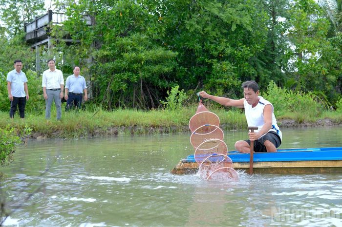 Nhờ được chuyển giao khoa học, kỹ thuật, không ít nhà nông vùng nông thôn xã Tân Thuận (tỉnh Cà Mau) áp dụng mô hình nuôi tôm quảng canh cải tiến 2 giai đoạn thành công, nâng cao hiệu quả canh tác. (Ảnh: HỮU TÙNG)