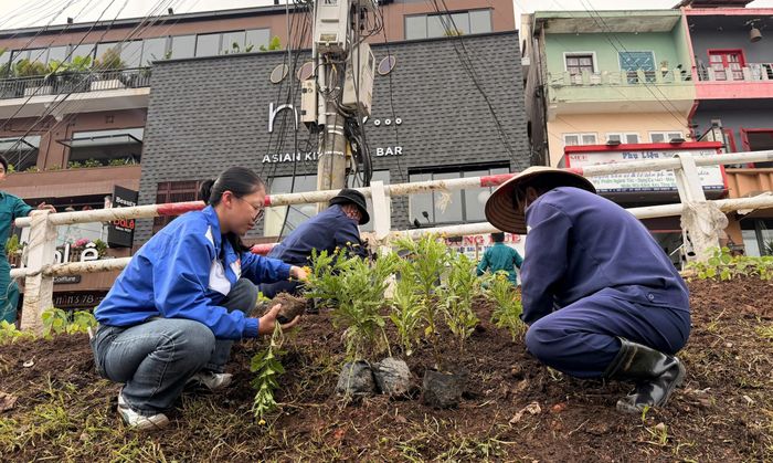 Phường Xuân Hương – Đà Lạt ra quân trồng hoa, chỉnh trang đô thị trên đường Phan Đình Phùng sẵn sàng cho Festival Hoa Đà Lạt lần thứ XI 