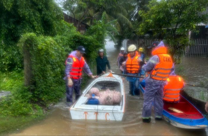  Đưa heo của người dân đội 2, thôn Đông Lỗ, xã Vạn Tường, ra khỏi vùng ngập. Ảnh: NGUYỄN TRANG 