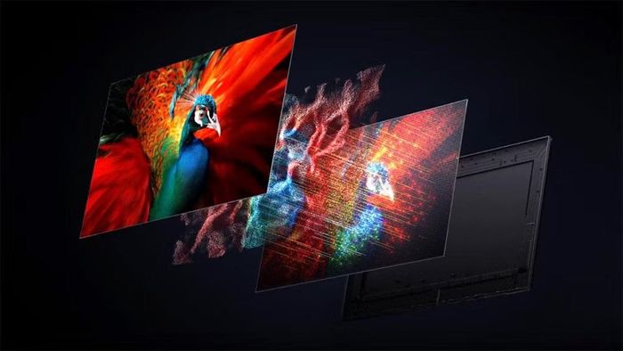 Sở hữu tần số quét 185Hz cùng khả năng biến đổi tần số quét linh hoạt VRR.