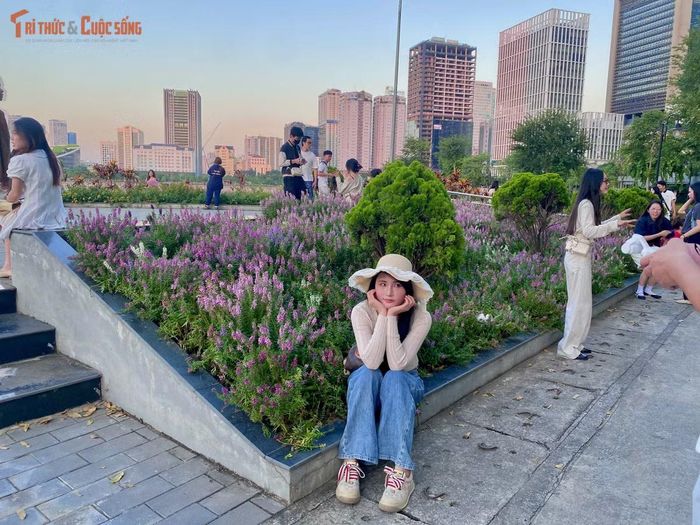 Mỗi góc nhỏ tại đây đều có thể trở thành phông nền chụp ảnh lý tưởng nhờ sự kết hợp đan xen của các loài hoa.