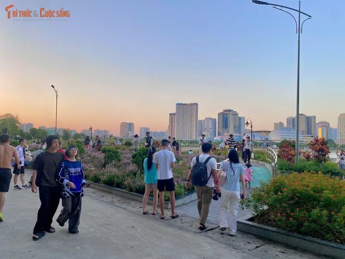 Không chỉ có giới trẻ, nhiều gia đình và các em nhỏ cũng tranh thủ những ngày thời tiết đẹp để ra đây vui chơi, tận hưởng bầu không khí trong lành bên những thảm hoa đầy sức sống.