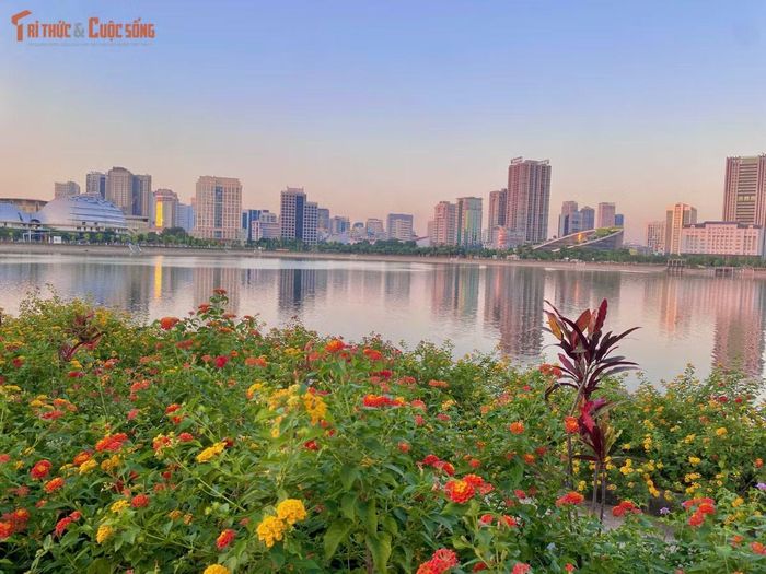 Những luống hoa được trồng xen kẽ, nối tiếp nhau chạy dọc bờ hồ, tạo nên một không gian dạo bộ tràn ngập hương sắc tự nhiên.