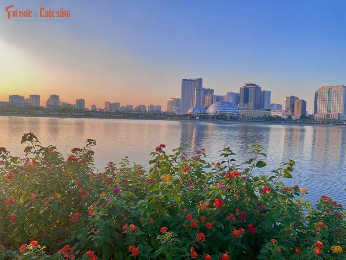 Nhiều bạn trẻ tranh thủ lưu lại những bức ảnh kỷ niệm cùng bạn bè. Bạn Thảo (Cầu Giấy) chia sẻ: "Xem ảnh hoa ở Hồ Gươm rất thích nhưng thấy đông quá. May mắn biết đến Công viên An Hòa cũng có dải hoa violet tương tự, không gian lại thoáng đãng nên mình rủ bạn thân ra đây chụp ngay".