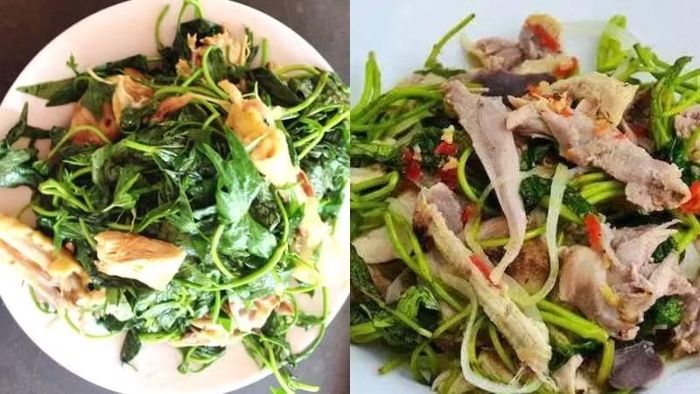 Với nguồn vitamin, khoáng chất, nước và chất xơ đa dạng, loại rau này phù hợp để thay đổi thực đơn và bổ sung thêm rau xanh trong khẩu phần ăn. Tuy nhiên, cũng như các loại rau khác, nên ăn với lượng phù hợp và ưu tiên nguồn rau sạch, được sơ chế kỹ trước khi chế biến. Ảnh: Bách hoá XANH
