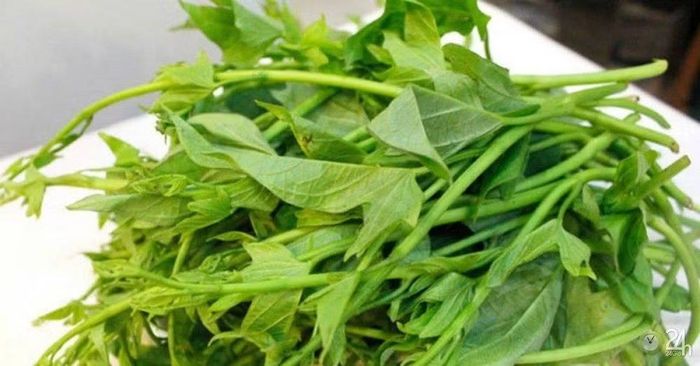 Khoai lang vốn là loại cây có khả năng sinh trưởng mạnh. Khi được cung cấp đủ nước và điều kiện thích hợp, phần thân, lá non phát triển nhanh, tạo nguồn rau xanh có thể thu hái nhiều lần. Đây cũng là một trong những lý do rau lang xuất hiện phổ biến tại các khu vườn gia đình và vùng trồng rau. Ảnh: Vinmec
