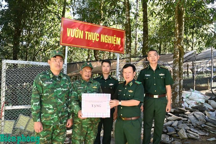 Thiếu tướng Nguyễn Đức Mạnh kiểm tra và tặng quà cán bộ, chiến sĩ tại mô hình trồng sâm Lai Châu do Bộ đội Biên phòng tỉnh Lai Châu triển khai ở bản Ngài Thầu. Ảnh: Đức Duẩn