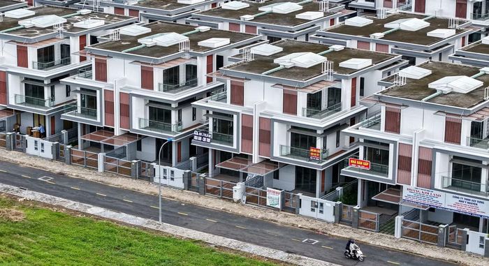 Khu đô thị Đông Tăng Long la liệt biệt thự bỏ hoang. Ảnh: Trần Chung.
