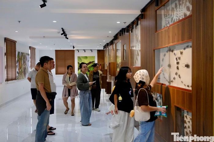 Đi dọc các khu trưng bày, nhiều du khách dừng lại khá lâu trước những tiêu bản động vật quý hiếm. Anh Nguyễn Hữu Lộc, du khách đến từ Đồng Tháp cho biết, anh dành thời gian đến bảo tàng sau khi biết nơi đây lưu giữ nhiều mẫu vật đặc trưng của hệ sinh thái Tây Nguyên.