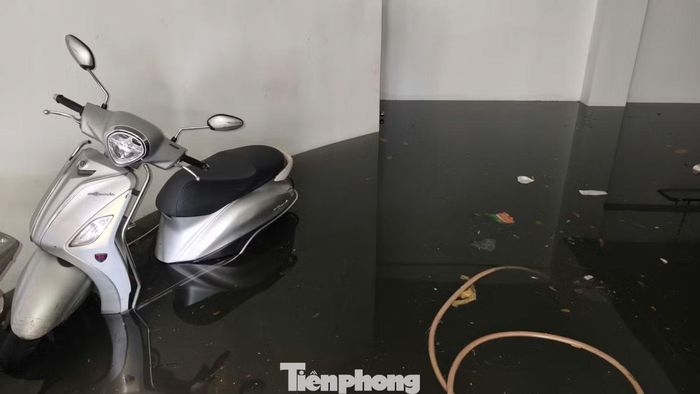 Cảnh ngập sâu trong một tầng hầm tại Cityland Park Hills.