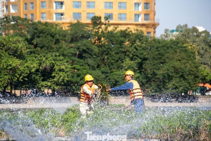 Công việc của anh Trung và đồng nghiệp diễn ra quanh năm: ngày thường luân phiên chui cống ngầm, nạo vét bùn đất, khơi thông cửa xả và lòng hồ; khi mưa lớn, lực lượng nhanh chóng chuyển sang trực 24/24 giờ để giải tỏa các điểm nghẽn dòng chảy. Công việc này đòi hỏi sức bền, kinh nghiệm và sự chủ động để duy trì hệ thống thoát nước của thành phố.